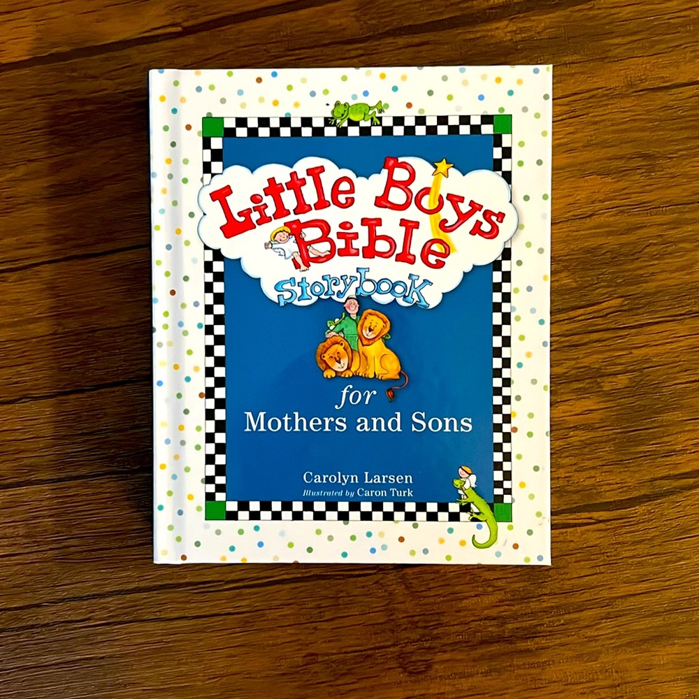 Little Boys Bible Storybook✨